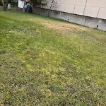 House, Garden & Garage, Downtown, Near Zenith & A75 Nyaraló