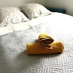 House, Garden & Garage, Downtown, Near Zenith & A75 *