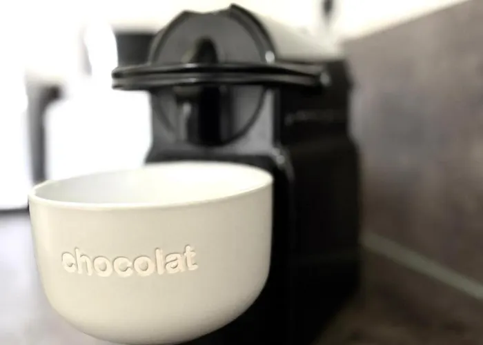 House, Garden & Garage, Downtown, Near Zenith & A75 Cournon-d'Auvergne