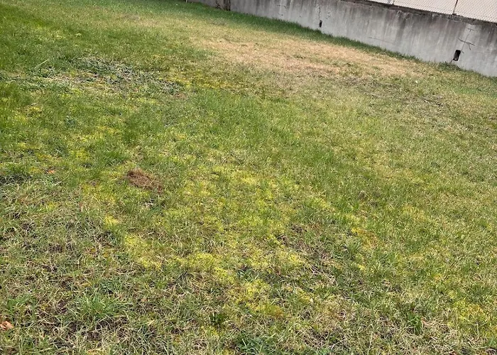 House, Garden & Garage, Downtown, Near Zenith & A75 Holiday home